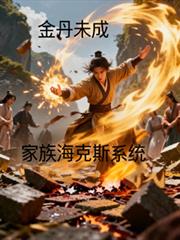 突破金丹失败,抽取家族海克斯