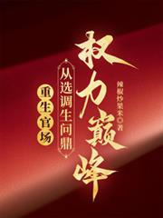 重生官场:从选调生问鼎权力巅峰