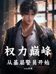 巅峰仕途:从转业乡镇开始